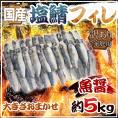 国産 ”塩鯖フィレ（魚醤）” 訳あり 約5kg 大きさおまかせ 三枚おろし サバ 送料無料