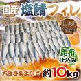 国産 ”昆布仕込み 塩鯖フィレ” 訳あり 約10kg 大きさおまかせ 三枚おろし サバ 送料無料