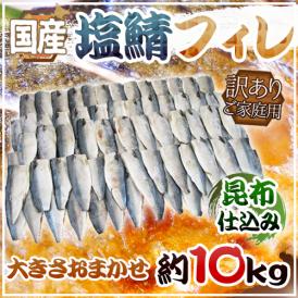 国産 ”昆布仕込み 塩鯖フィレ” 訳あり 約10kg 大きさおまかせ 三枚おろし サバ 送料無料