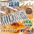 国産 ”昆布仕込み 塩鯖フィレ” 訳あり 約5kg 大きさおまかせ 三枚おろし サバ 送料無料