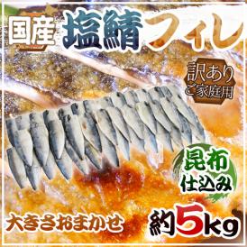 国産 ”昆布仕込み 塩鯖フィレ” 訳あり 約5kg 大きさおまかせ 三枚おろし サバ 送料無料