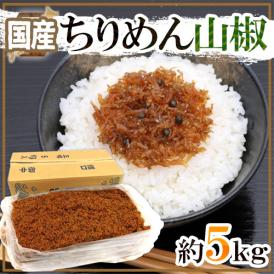 国産 ”ちりめん山椒” 約5kg 山椒ちりめん/佃煮 送料無料