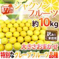 南アフリカ産 グレープフルーツ ”ジャクソンフルーツ” 訳あり 大きさおまかせ 約10kg【予約 入荷次第発送】 送料無料