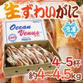 ロシア産 冷凍 ”生ズワイガニ” 4～5杯 約4～4.5kg 姿 ズワイ蟹 送料無料