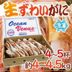ロシア産 冷凍 ”生ズワイガニ” 4～5杯 約4～4.5kg 姿 ズワイ蟹 送料無料
