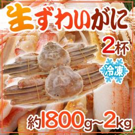 ロシア産 冷凍 ”生ズワイガニ” 2杯 約1800g～2kg 姿 ズワイ蟹 送料無料