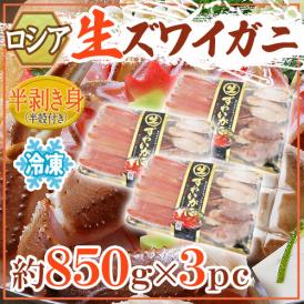 ロシア産 冷凍 ”生ズワイガニ” 約850g×3pc 半剥き身/ハーフポーション/pc 送料無料