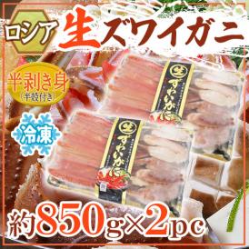 ロシア産 冷凍 ”生ズワイガニ” 約850g×2pc 半剥き身/ハーフポーション/pc 送料無料