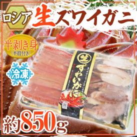 ロシア産 冷凍 ”生ズワイガニ” 約850g 半剥き身/ハーフポーション/pc 送料無料