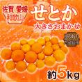 佐賀・愛媛・和歌山産 ”せとか” 訳あり 約5kg 大きさおまかせ【予約 1月下旬以降】 送料無料