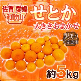 佐賀・愛媛・和歌山産 ”せとか” 訳あり 約5kg 大きさおまかせ【予約 1月下旬以降】 送料無料