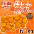 佐賀・愛媛・和歌山産 ”せとか” 訳あり 約4kg 大きさおまかせ【予約 1月下旬以降】 送料無料