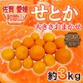 佐賀・愛媛・和歌山産 ”せとか” 訳あり 約3kg 大きさおまかせ【予約 1月下旬以降】 送料無料
