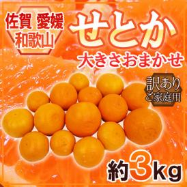 佐賀・愛媛・和歌山産 ”せとか” 訳あり 約3kg 大きさおまかせ【予約 1月下旬以降】 送料無料