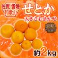 佐賀・愛媛・和歌山産 ”せとか” 訳あり 約2kg 大きさおまかせ【予約 1月下旬以降】 送料無料