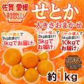 佐賀・愛媛・和歌山産 ”せとか” 訳あり 約1kg 大きさおまかせ《2kg購入で1kg、3kg購入で2kg、5kg購入で5kgおまけ》【予約 1月下旬以降】 送料無料