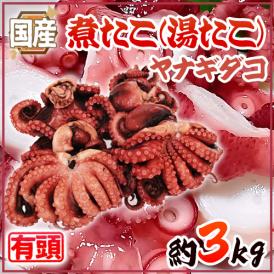 国産 ”煮たこ(湯たこ) ヤナギダコ” 約3kg 大きさおまかせ【予約 入荷次第発送】 送料無料