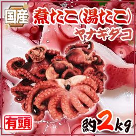 国産 ”煮たこ(湯たこ) ヤナギダコ” 約2kg 大きさおまかせ【予約 入荷次第発送】 送料無料