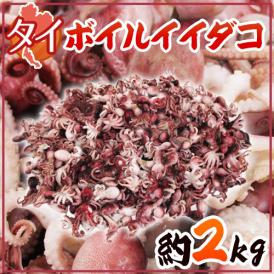 タイ ”ボイルイイダコ” 約2kg 大きさおまかせ【予約 入荷次第発送】 送料無料