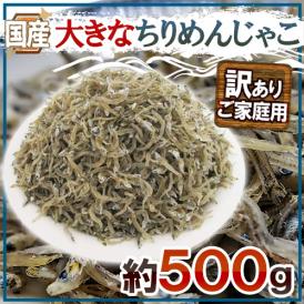 国産 ”大きなちりめんじゃこ” 訳あり 約500g かえりちりめん 送料無料