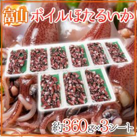 富山県 ”ボイルほたるいか” 約360g×3シート 【予約 入荷次第発送】 送料無料