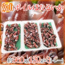 富山県 ”ボイルほたるいか” 約360g（120g×3トレー） 【予約 入荷次第発送】 送料無料
