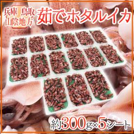 兵庫・鳥取・山陰地方 ”茹でホタルイカ” 約300g×5シート 【予約 入荷次第発送】 送料無料