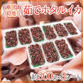 兵庫・鳥取・山陰地方 ”茹でホタルイカ” 約300g×3シート 【予約 入荷次第発送】 送料無料
