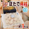 北海道 冷凍 ”ほたて貝柱” 約1kg 送料無料