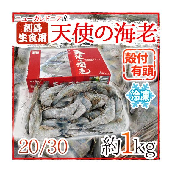 ニューカレドニア産 冷凍 ”生食用・天使の海老” 20/30 約1kg 車海老 送料無料01