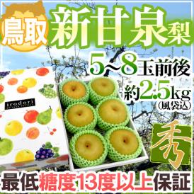 鳥取産 ”新甘泉（しんかんせん）梨” 秀品 大玉5〜8玉前後 風袋込約2.5kg 化粧箱【予約 8月下旬以降】 送料無料