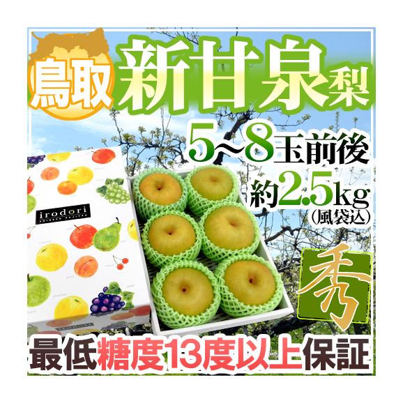 鳥取産 &rdquo;新甘泉（しんかんせん）梨&rdquo; 秀品 大玉5〜8玉前後 風袋込約2.5kg 化粧箱【予約 8月下旬以降】 送料無料01