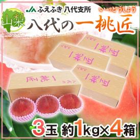 山梨県 JAふえふき 八代地区 ”八代の一桃匠” 3玉入り 約1kg×《4箱》 化粧箱【予約 6月末以降】 送料無料