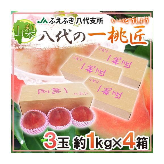 山梨県 JAふえふき 八代地区 &rdquo;八代の一桃匠&rdquo; 3玉入り 約1kg&times;《4箱》 化粧箱【予約 6月末以降】 送料無料01
