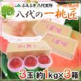 山梨県 JAふえふき 八代地区 &rdquo;八代の一桃匠&rdquo; 3玉入り 約1kg&times;《3箱》 化粧箱【予約 6月末以降】 送料無料