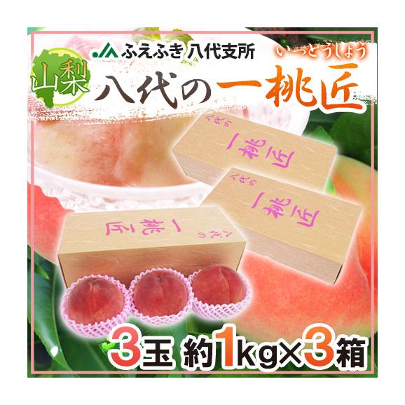 山梨県 JAふえふき 八代地区 &rdquo;八代の一桃匠&rdquo; 3玉入り 約1kg&times;《3箱》 化粧箱【予約 6月末以降】 送料無料01