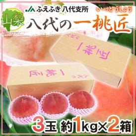 山梨県 JAふえふき 八代地区 ”八代の一桃匠” 3玉入り 約1kg×《2箱》 化粧箱【予約 6月末以降】 送料無料