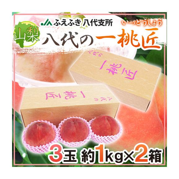 山梨県 JAふえふき 八代地区 &rdquo;八代の一桃匠&rdquo; 3玉入り 約1kg&times;《2箱》 化粧箱【予約 6月末以降】 送料無料01