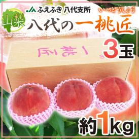 山梨県 JAふえふき 八代地区 ”八代の一桃匠” 3玉入り 約1kg 化粧箱【予約 6月末以降】 送料無料