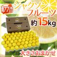 南アフリカ産 グレープフルーツ ”ジャクソンフルーツ” 大きさおまかせ 約15kg【予約 入荷次第発送】 送料無料