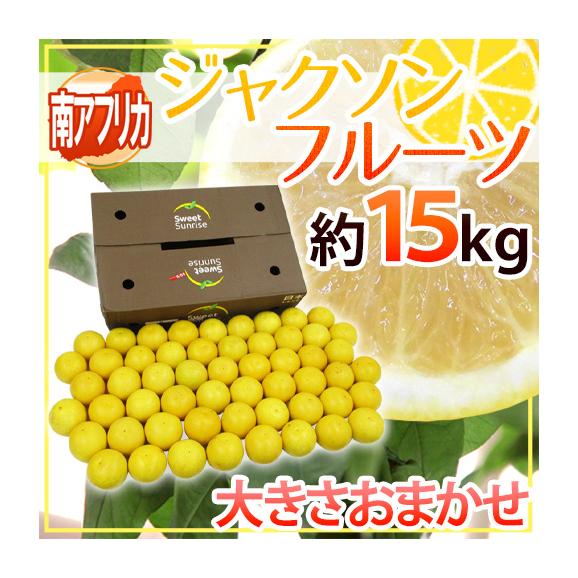 南アフリカ産 グレープフルーツ &rdquo;ジャクソンフルーツ&rdquo; 大きさおまかせ 約15kg【予約 入荷次第発送】 送料無料01