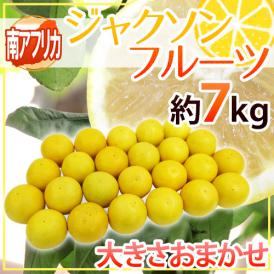 南アフリカ産 グレープフルーツ ”ジャクソンフルーツ” 大きさおまかせ 約7kg【予約 入荷次第発送】 送料無料