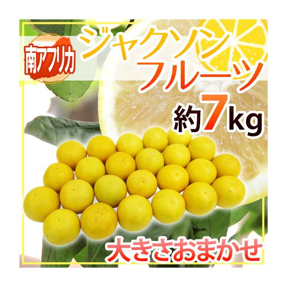 南アフリカ産 グレープフルーツ ”ジャクソンフルーツ” 大きさおまかせ 約7kg【予約 入荷次第発送】 送料無料01