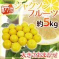 南アフリカ産 グレープフルーツ &rdquo;ジャクソンフルーツ&rdquo; 大きさおまかせ 約5kg【予約 入荷次第発送】 送料無料