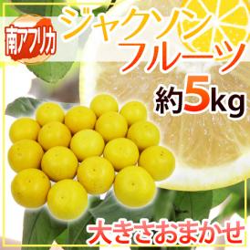 南アフリカ産 グレープフルーツ ”ジャクソンフルーツ” 大きさおまかせ 約5kg【予約 入荷次第発送】 送料無料