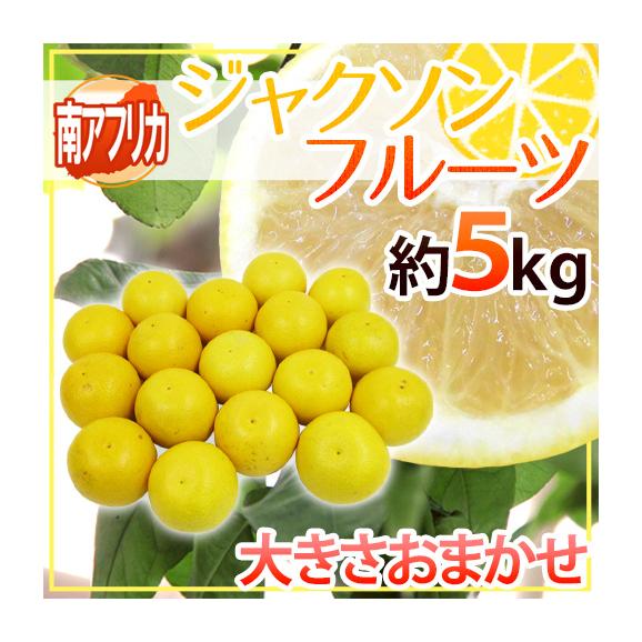 南アフリカ産 グレープフルーツ &rdquo;ジャクソンフルーツ&rdquo; 大きさおまかせ 約5kg【予約 入荷次第発送】 送料無料01