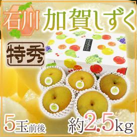石川県 ”加賀しずく” 特秀品 大玉 5玉前後 約2.5kg 化粧箱 糖度12度以上 和梨【予約 9月以降】 送料無料