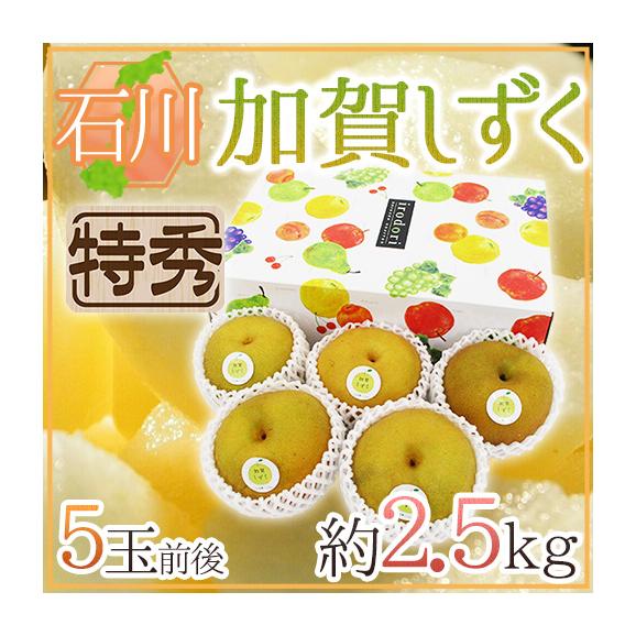 石川県 &rdquo;加賀しずく&rdquo; 特秀品 大玉 5玉前後 約2.5kg 化粧箱 糖度12度以上 和梨【予約 9月以降】 送料無料01