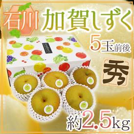 石川県 ”加賀しずく” 秀品 大玉 5玉前後 約2.5kg 化粧箱 糖度12度以上 和梨【予約 9月以降】 送料無料