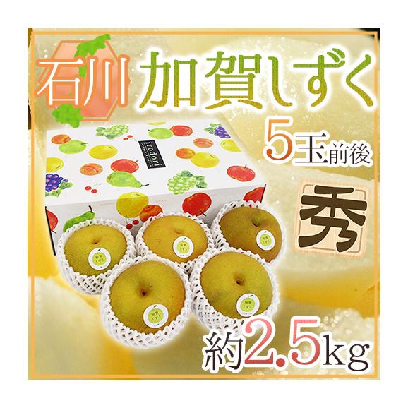 石川県 &rdquo;加賀しずく&rdquo; 秀品 大玉 5玉前後 約2.5kg 化粧箱 糖度12度以上 和梨【予約 9月以降】 送料無料01